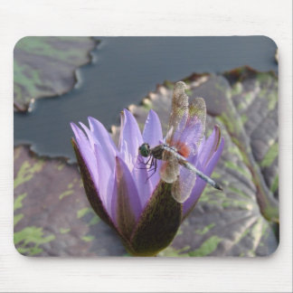 Tapis De Souris Libellule