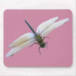 Tapis De Souris libellule