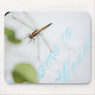 Tapis De Souris Libellule 4