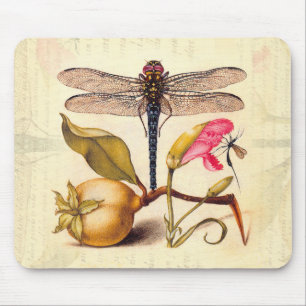 Tapis De Souris Libellule Botanique Nature Faune Hoefnagel Art
