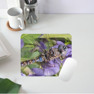 Tapis De Souris Libellule Darner aux Yeux Bleus sur Fleur