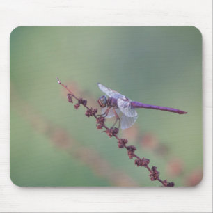 Tapis De Souris libellule de pelle de rose
