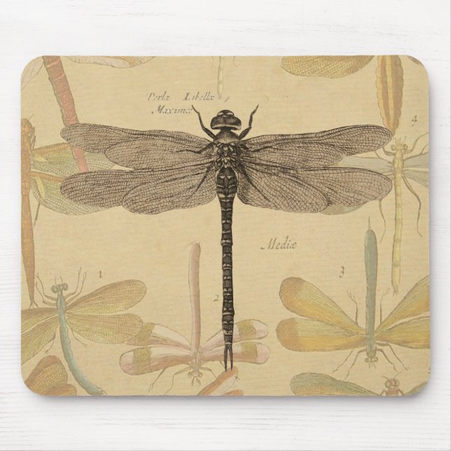 Tapis De Souris Libellule Vintage Antique Classique Nature (Devant)