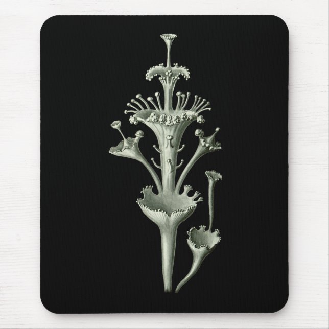 Tapis De Souris Lichen de tasse (Devant)