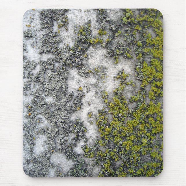 Tapis De Souris Lichen vert sur le granit (Devant)