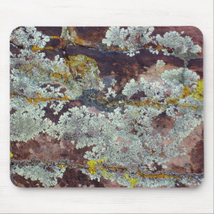 Tapis De Souris Lichens sur la roche #4