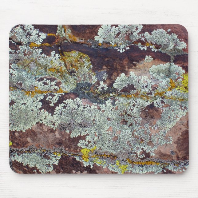 Tapis De Souris Lichens sur la roche #4 (Devant)