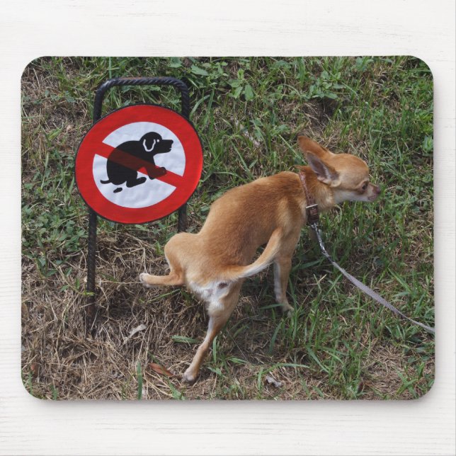 Tapis De Souris L'ignorance est néfaste (Devant)