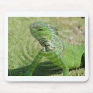 Tapis De Souris L'iguane vert