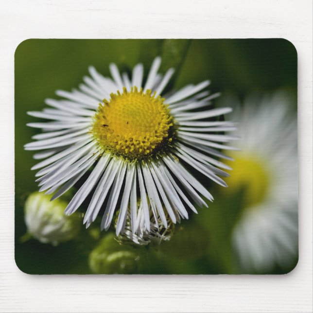 Tapis De Souris Li'l Daisy Mousepad (Devant)