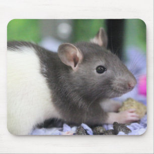 Tapis De Souris Lil rat
