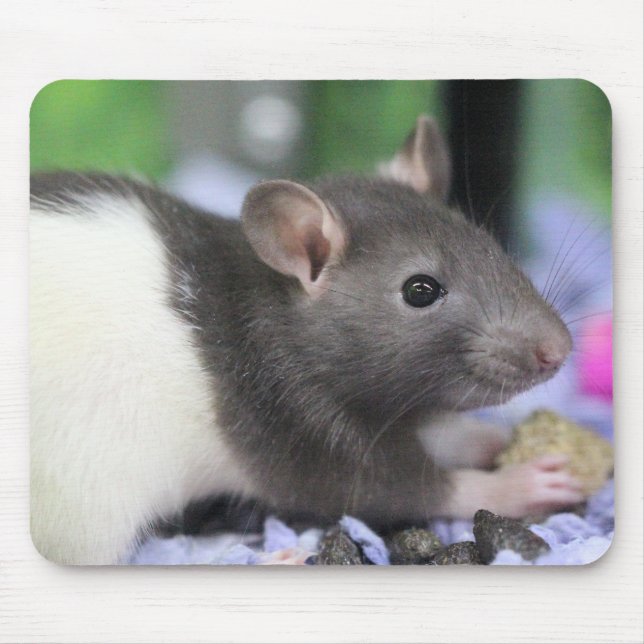 Tapis De Souris Lil rat (Devant)