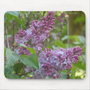 Tapis De Souris Lilacs