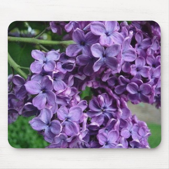Tapis De Souris Lilas (Devant)