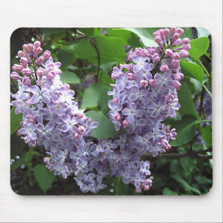 Tapis De Souris Lilas