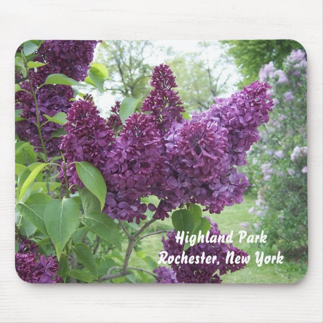 Tapis De Souris Lilas à Highland Park (Devant)