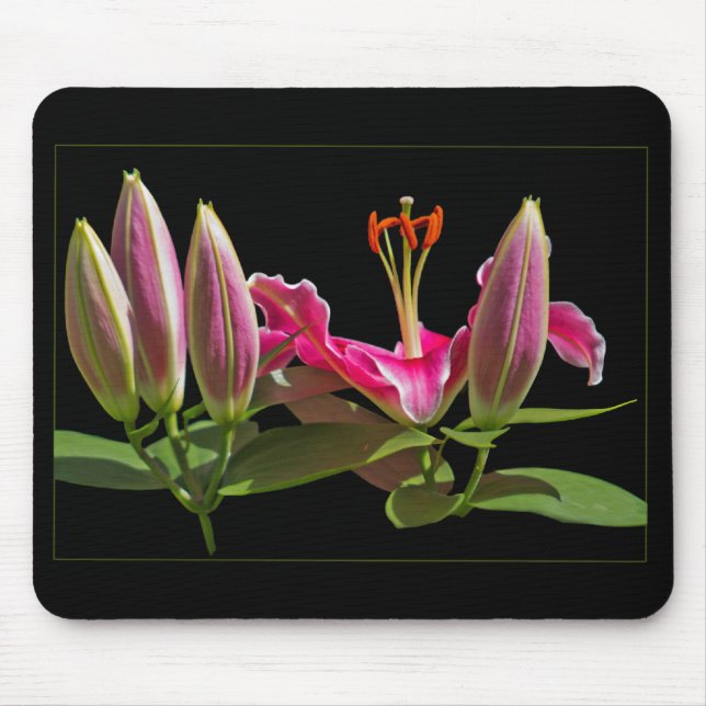 Tapis De Souris Lilium Stargazer bourgeons et floraison (Devant)