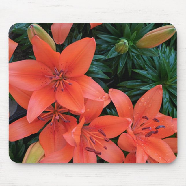 Tapis De Souris Lily orange (Devant)