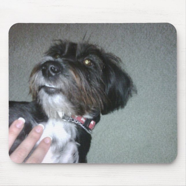 Tapis De Souris Lilypad (Devant)