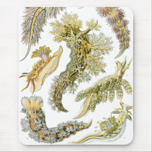 Tapis De Souris Limaces de mer par Ernst Haeckel, Nudibranchia vin
