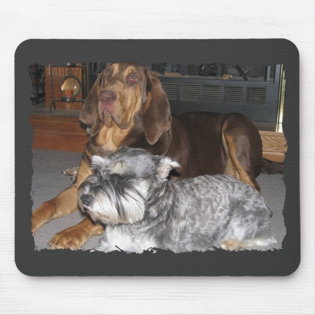 Tapis De Souris Limier et schnauzer miniature Mousepad (Devant)