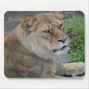 Tapis De Souris Lion