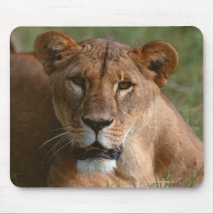 Tapis De Souris Lion