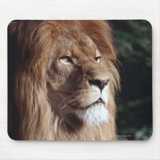 Tapis De Souris lion (Devant)