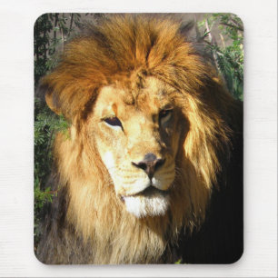 Tapis De Souris Lion