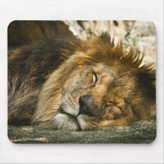 Tapis De Souris lion