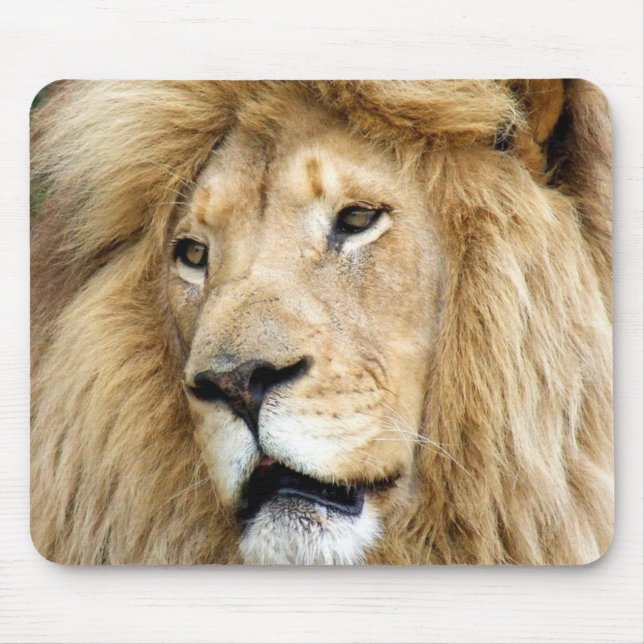 Tapis De Souris lion (Devant)
