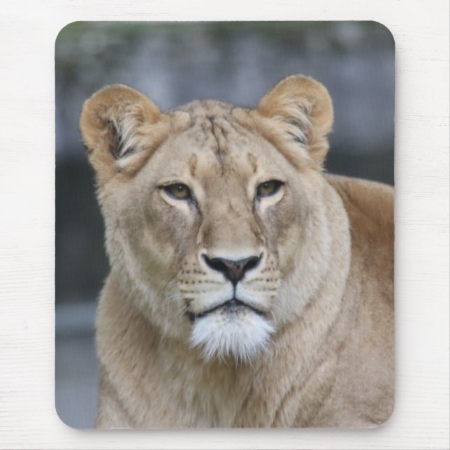Tapis De Souris Lion 004 (Devant)