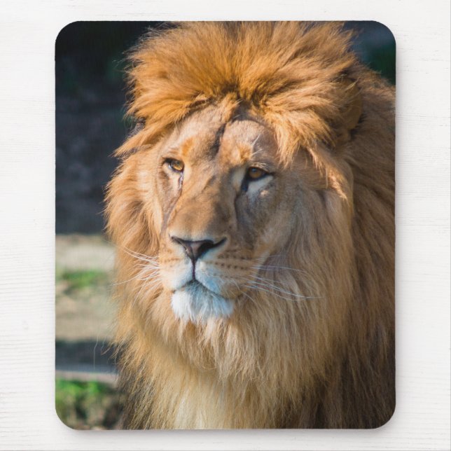 Tapis De Souris Lion 013 (Devant)