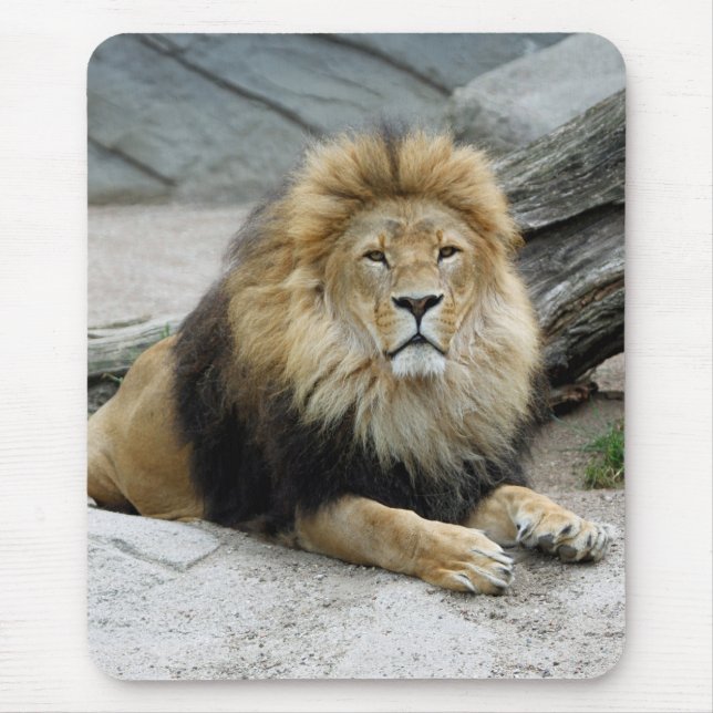 Tapis De Souris Lion 020 (Devant)