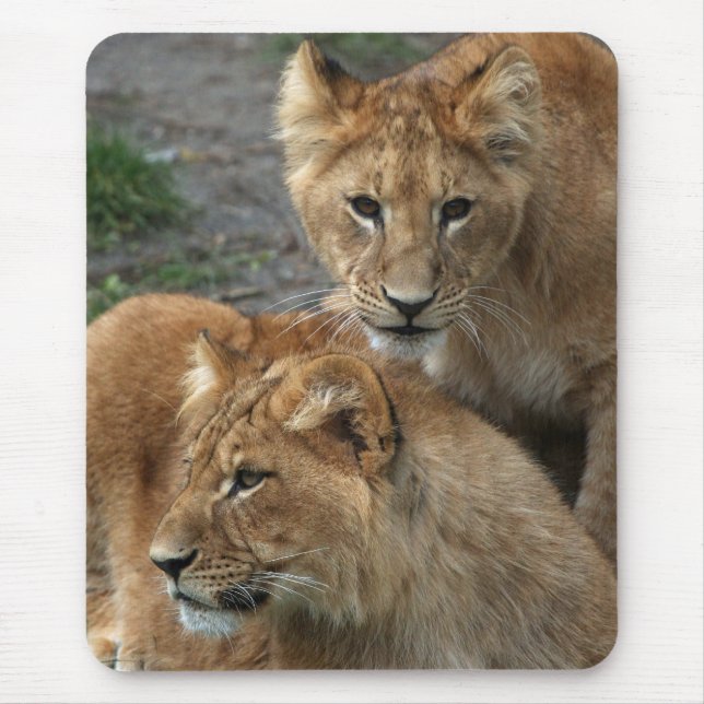 Tapis De Souris Lion 033 (Devant)
