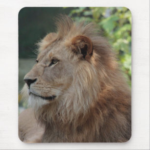 Tapis De Souris Lion 035