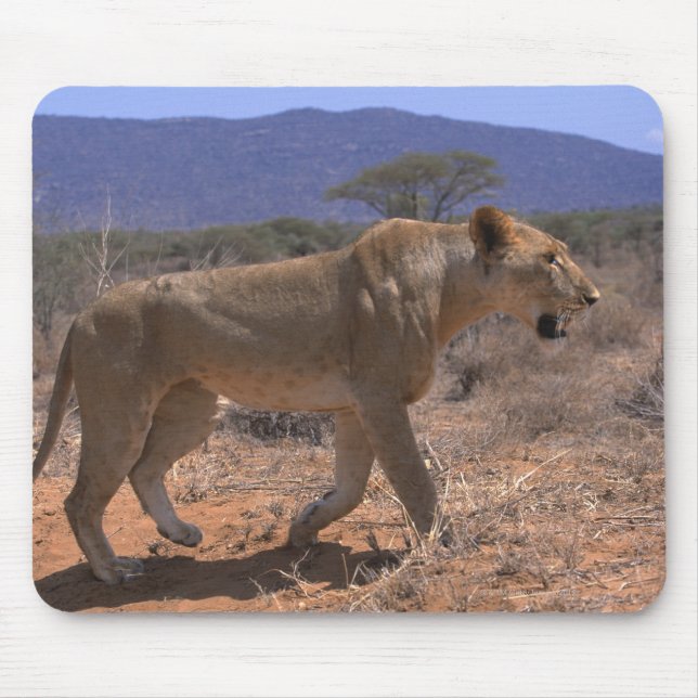 Tapis De Souris Lion 3 (Devant)