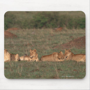 Tapis De Souris Lion 4