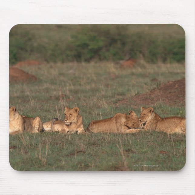 Tapis De Souris Lion 4 (Devant)