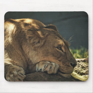 Tapis De Souris Lion à l'ombre de la Mousepad