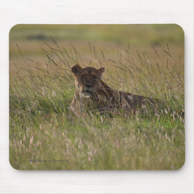 Tapis De Souris Lion Africa Savannah (Devant)