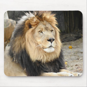 Tapis De Souris Lion africain