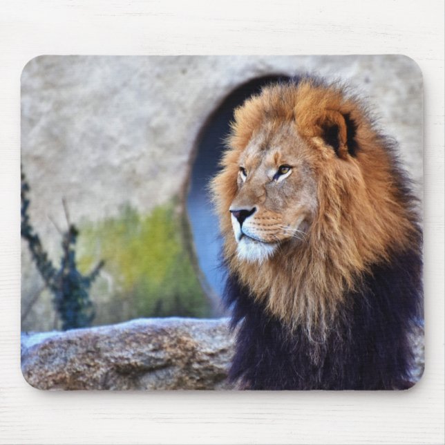 Tapis De Souris Lion africain (Devant)