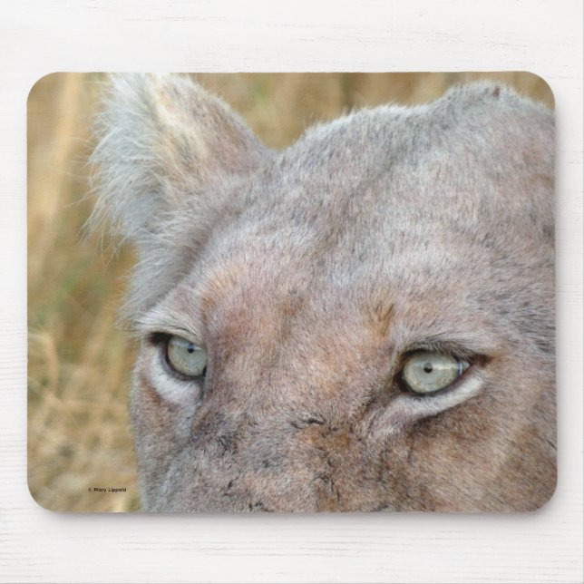 TAPIS DE SOURIS LION BLANC RARE  (Devant)