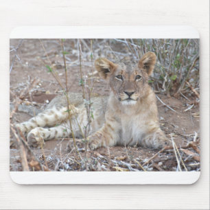 Tapis De Souris Lion Cub Avec Un Regard Doux Et Innocent.
