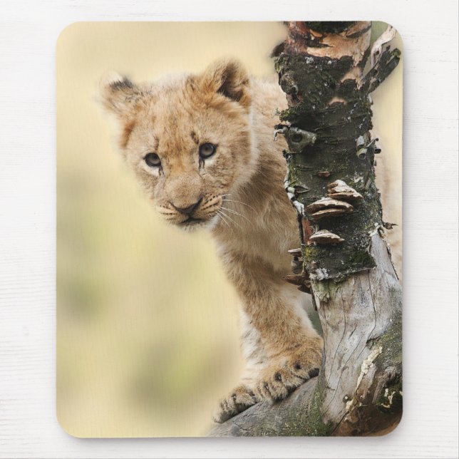 Tapis De Souris Lion Cub Climbing Tree Cute Photo (Devant)