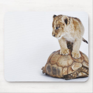 Tapis De Souris Lion de bébé se tenant sur la tortue, arrière -