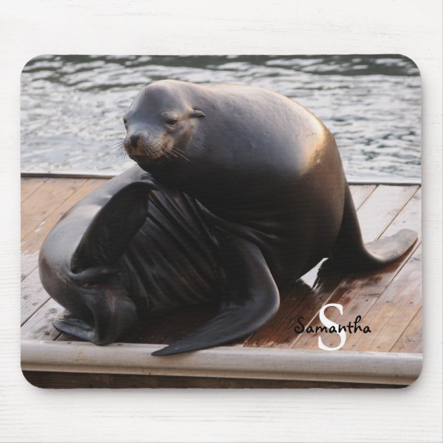 Tapis de souris Lion de mer (Devant)