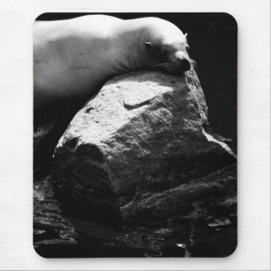 Tapis De Souris Lion de mer dormant .1781