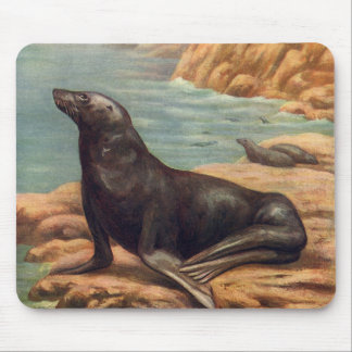 Tapis De Souris Lion de mer vintage au bord de la mer, Mammifères